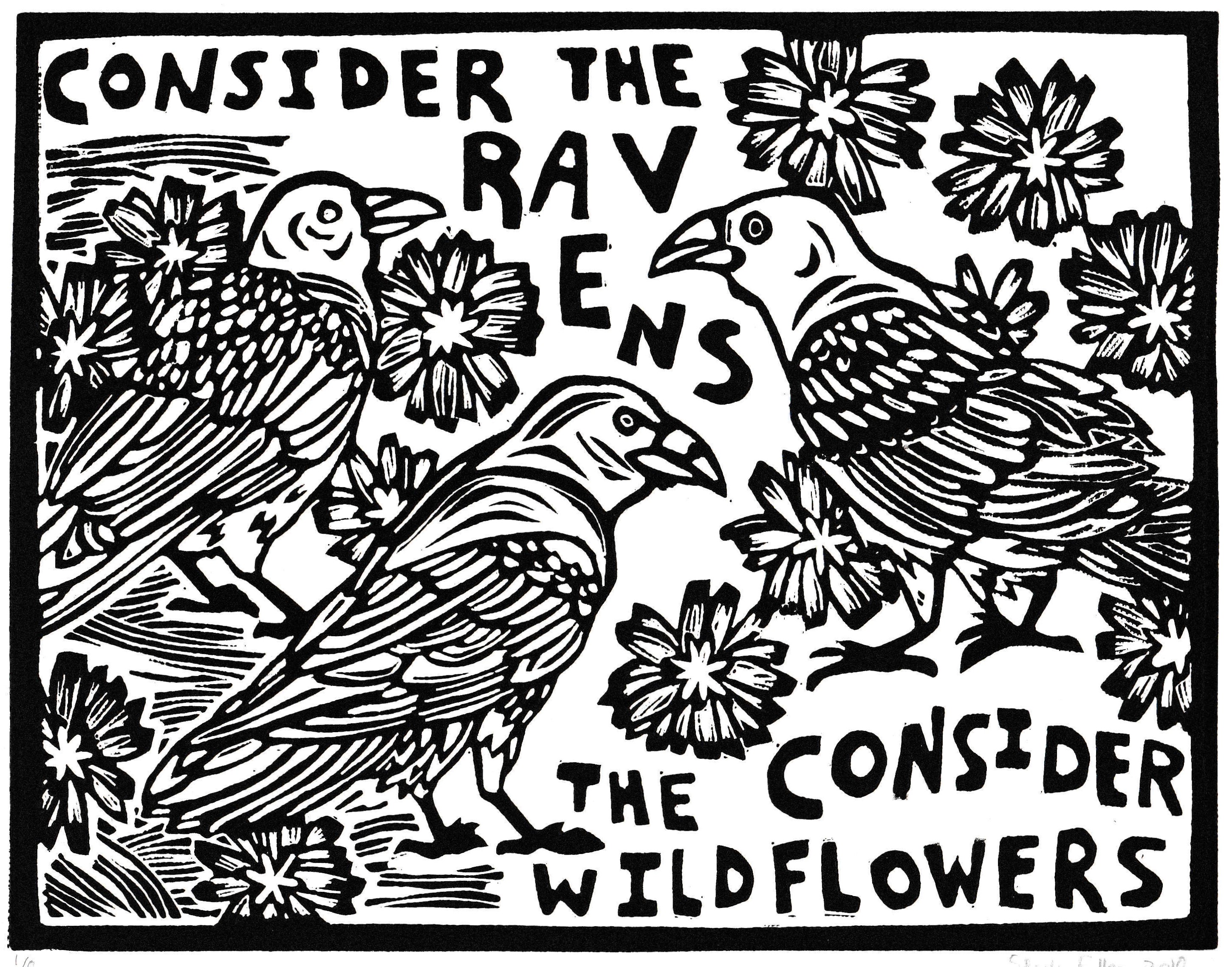 Consider the ravens 2018