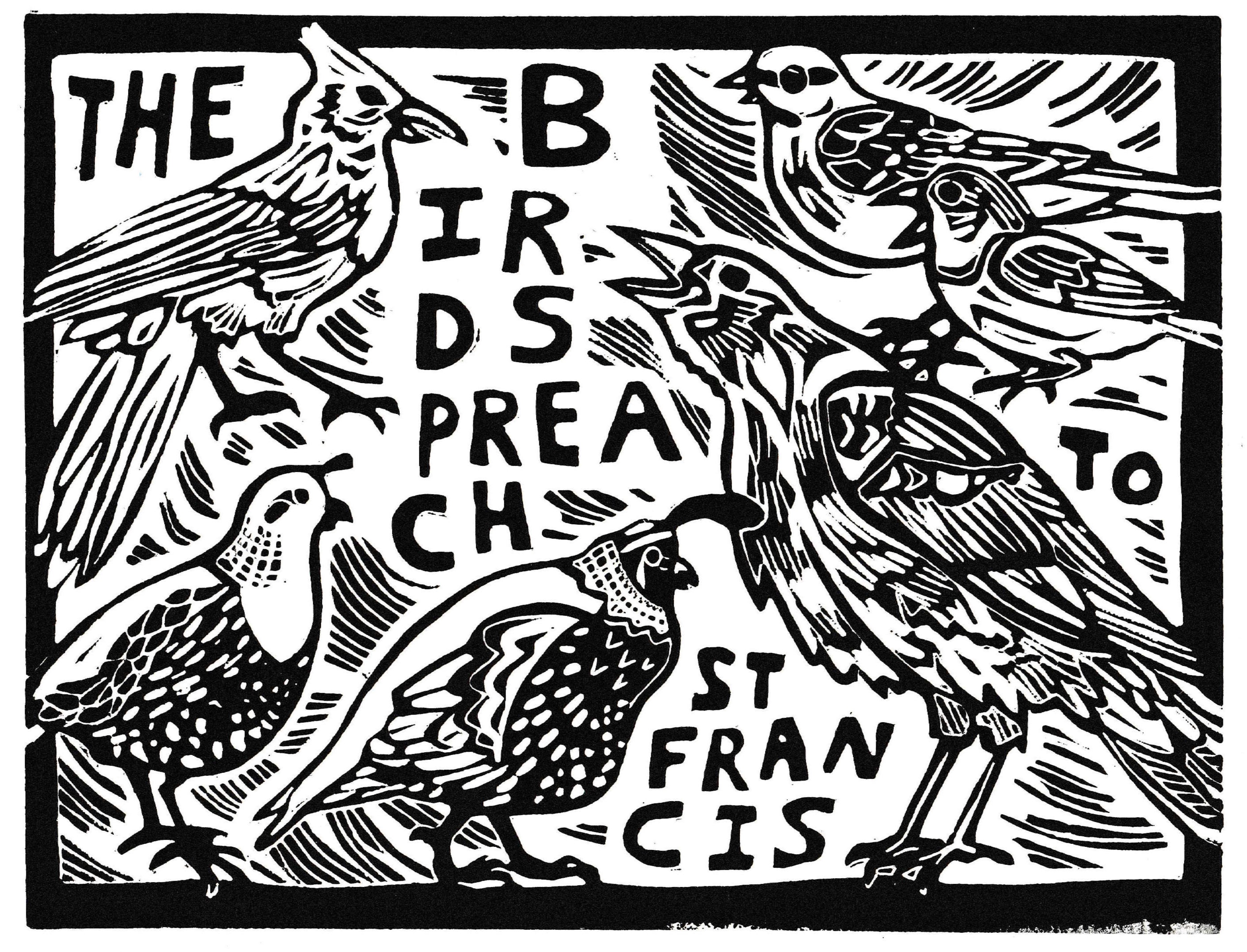 The birds preach 2019