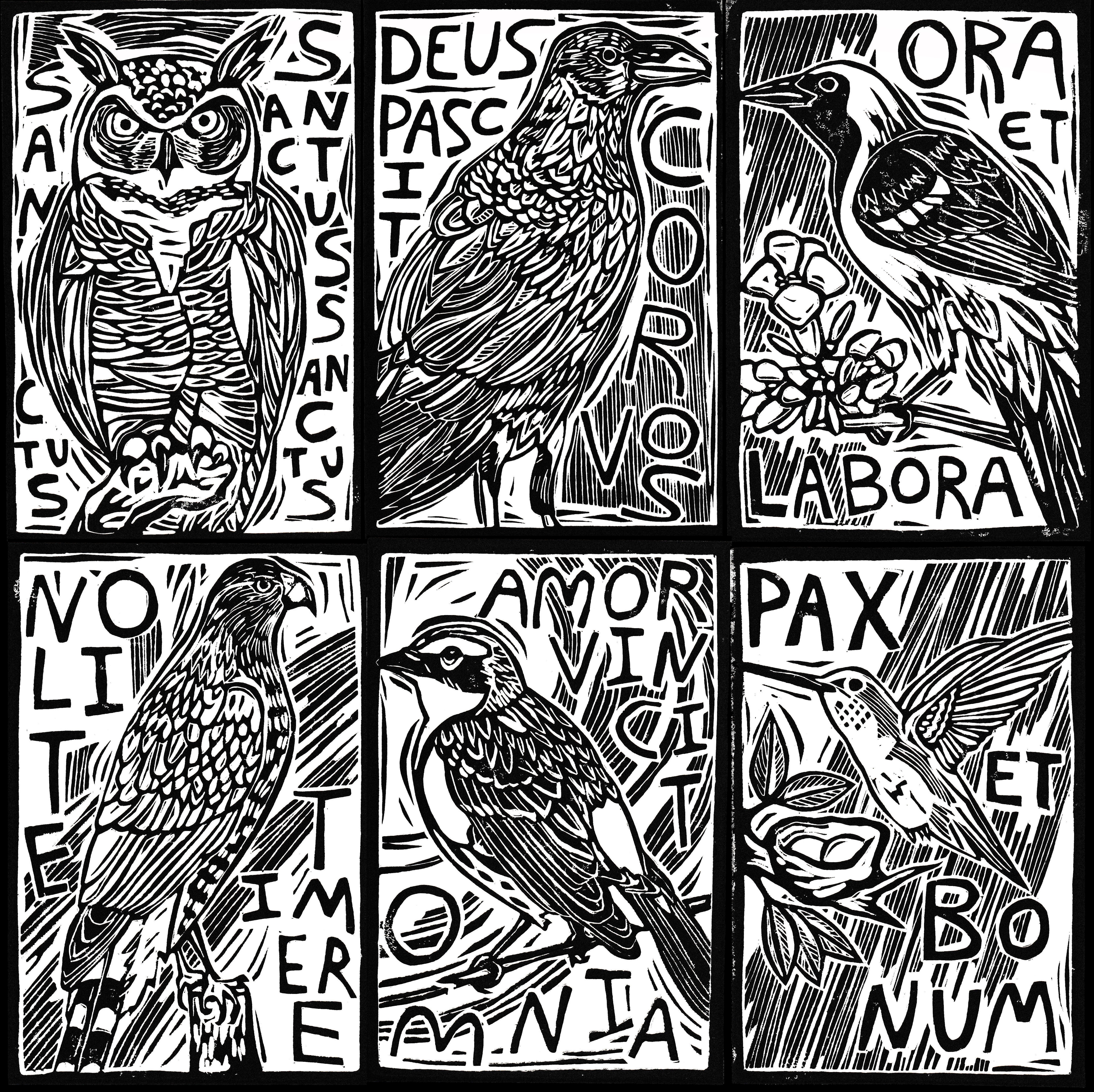 latin motto bird composite filled 2020